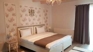 Отель Domeniile Panciu Winery & Resort Sîrbi Стандартный двухместный номер с 1 кроватью-1